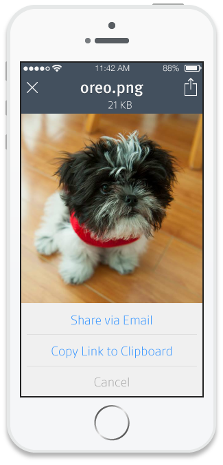 ios-phone-image