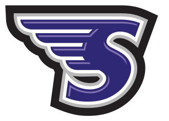 Stonehill Skyhawks
