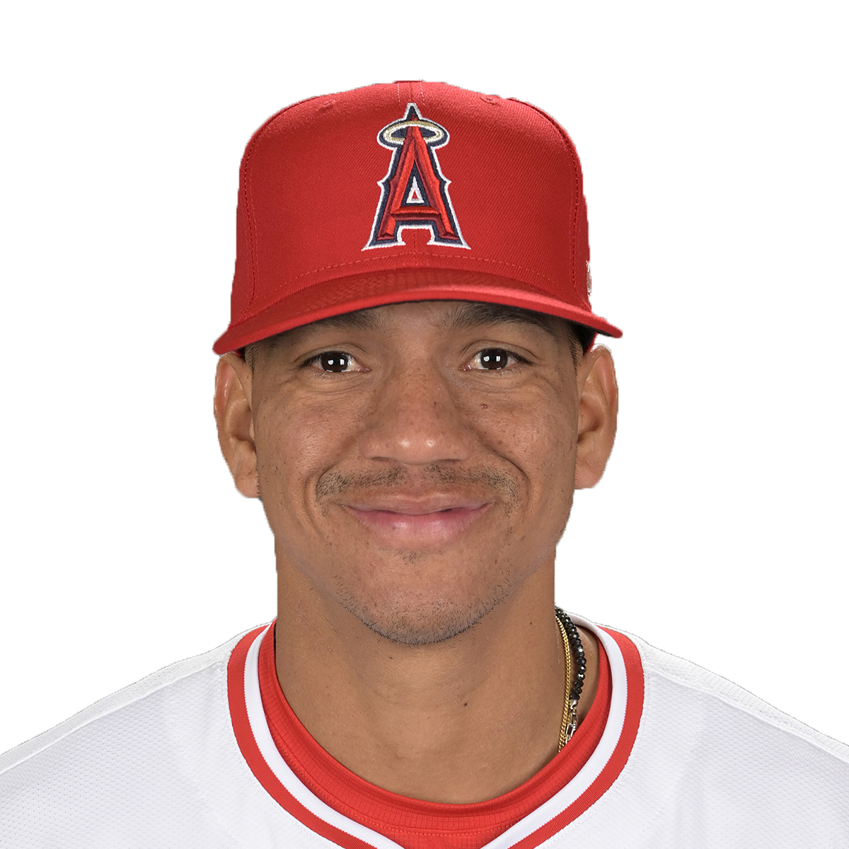 Ehire Adrianza