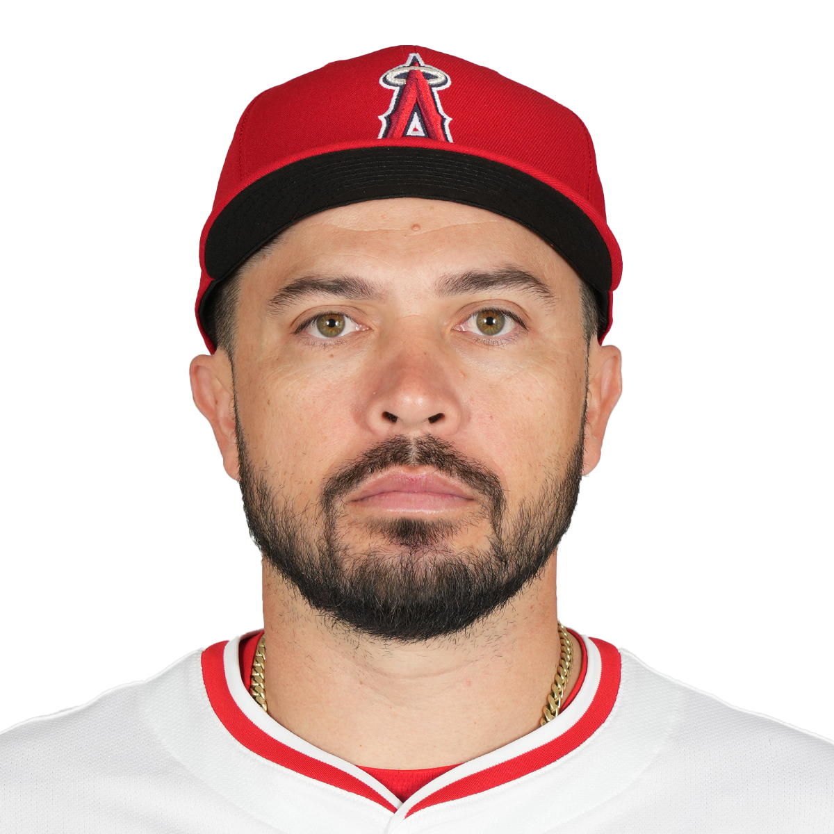 Travis d'Arnaud