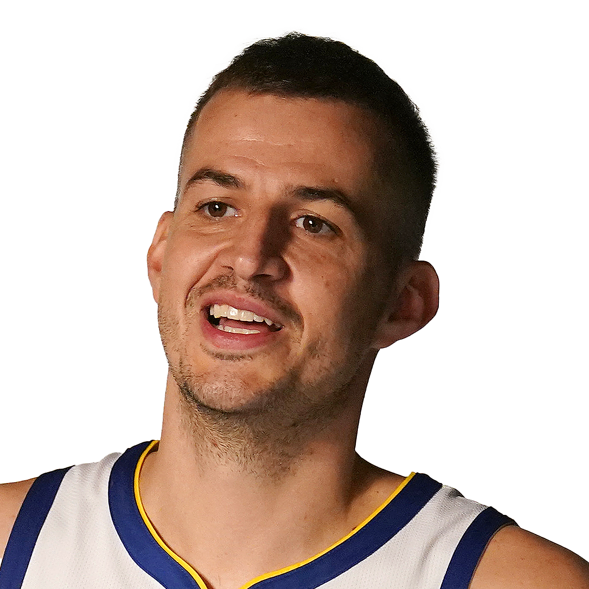 Nemanja Bjelica Stats