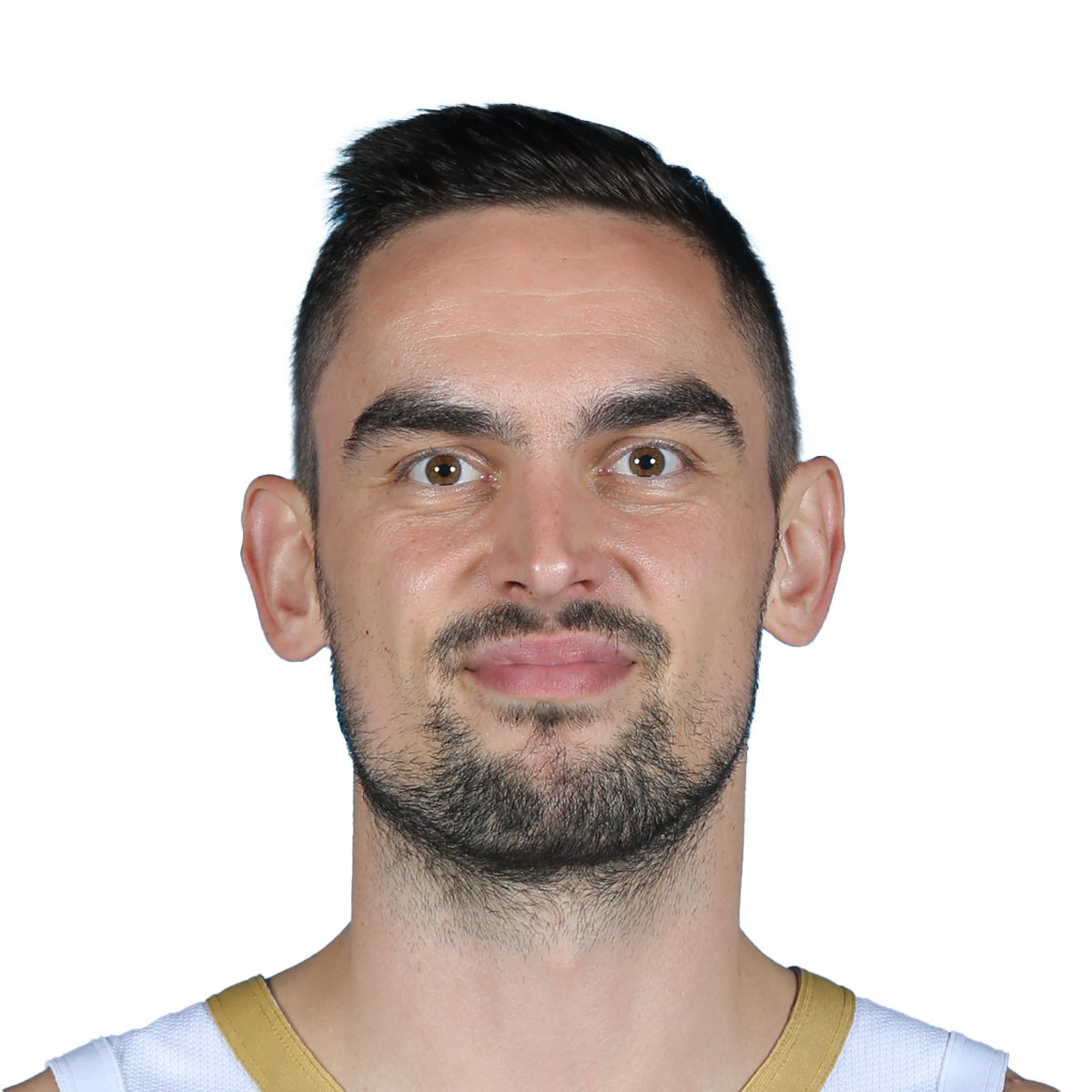Tomas Satoransky Stats