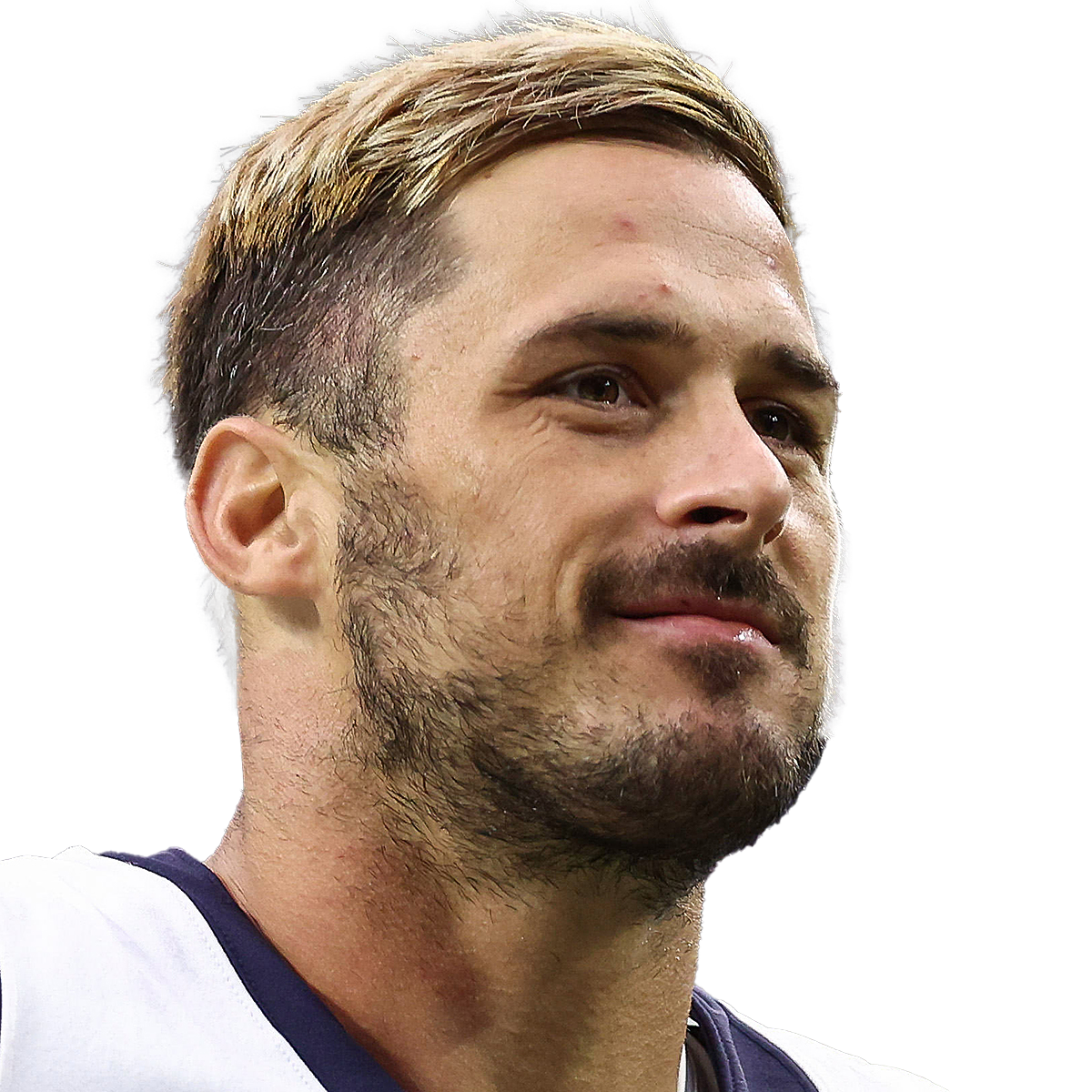 Danny Amendola