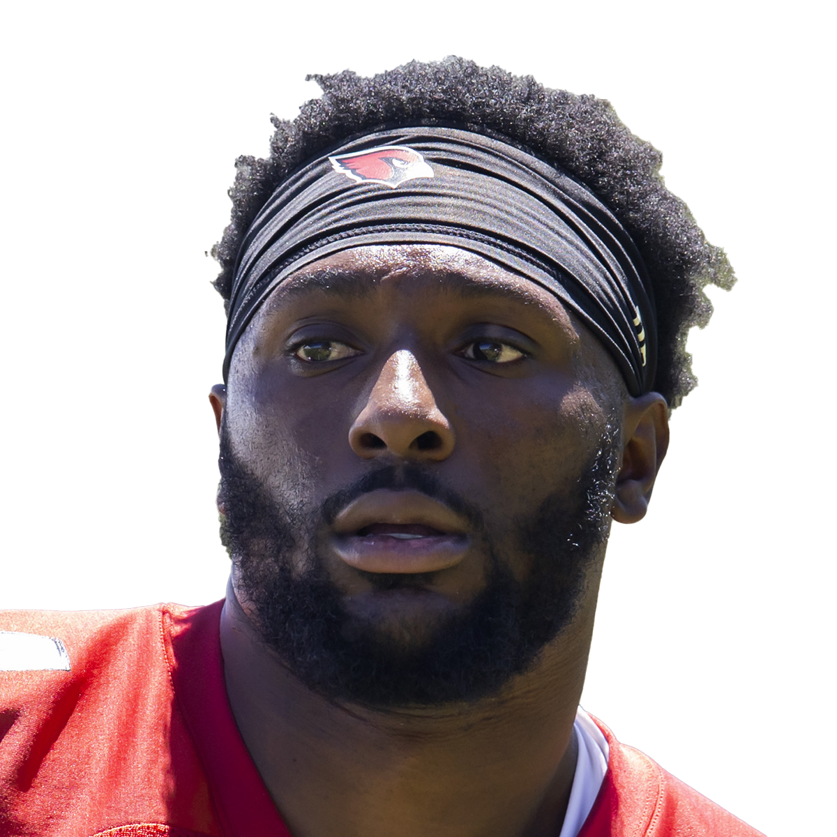 Darrel Williams