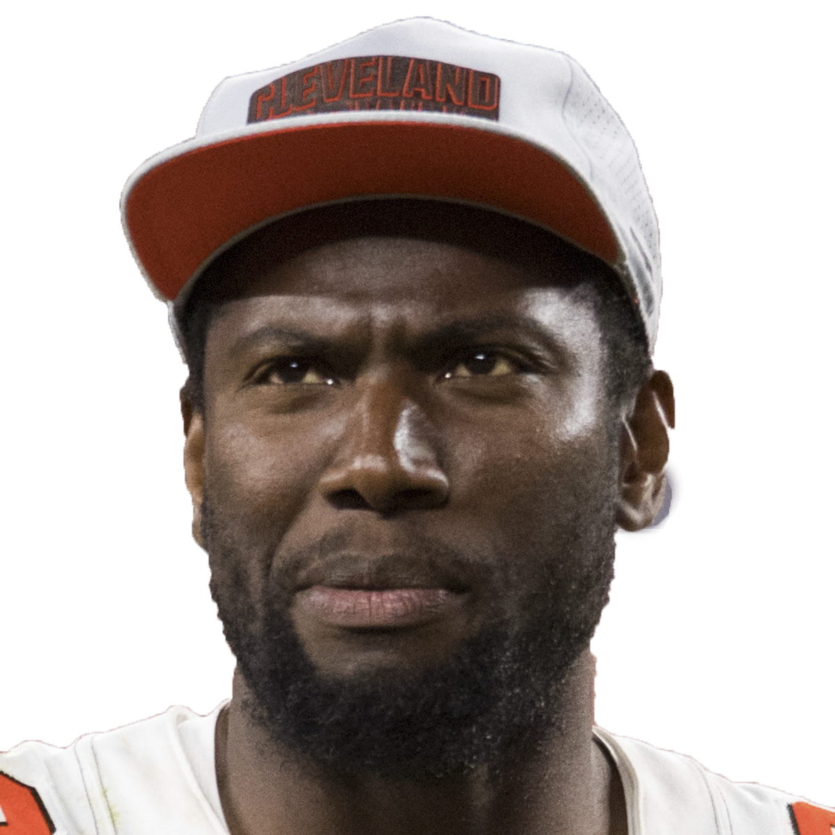 Darren Fells