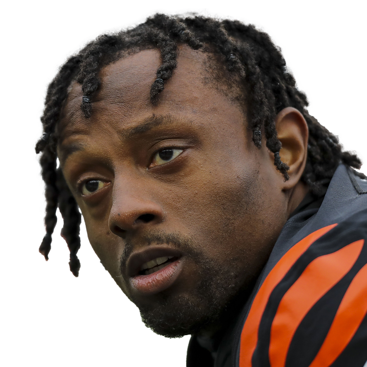 Eli Apple