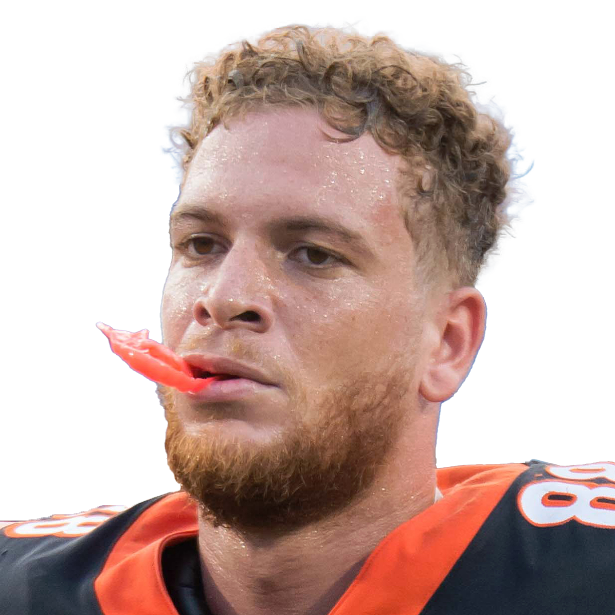Jordan Franks