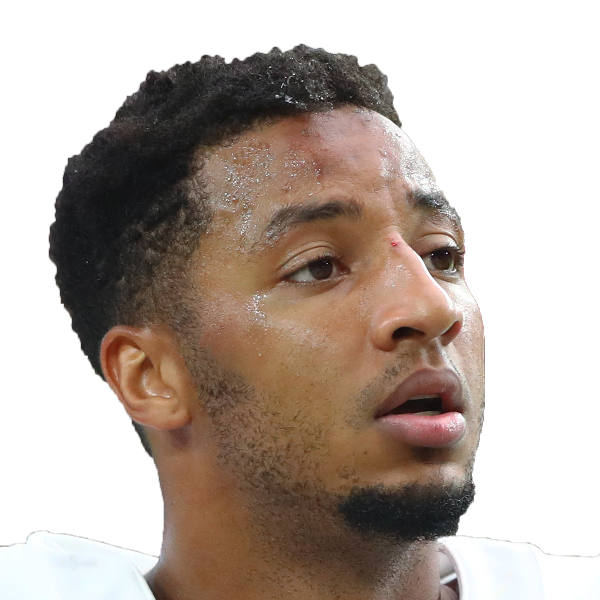 Josh Doctson