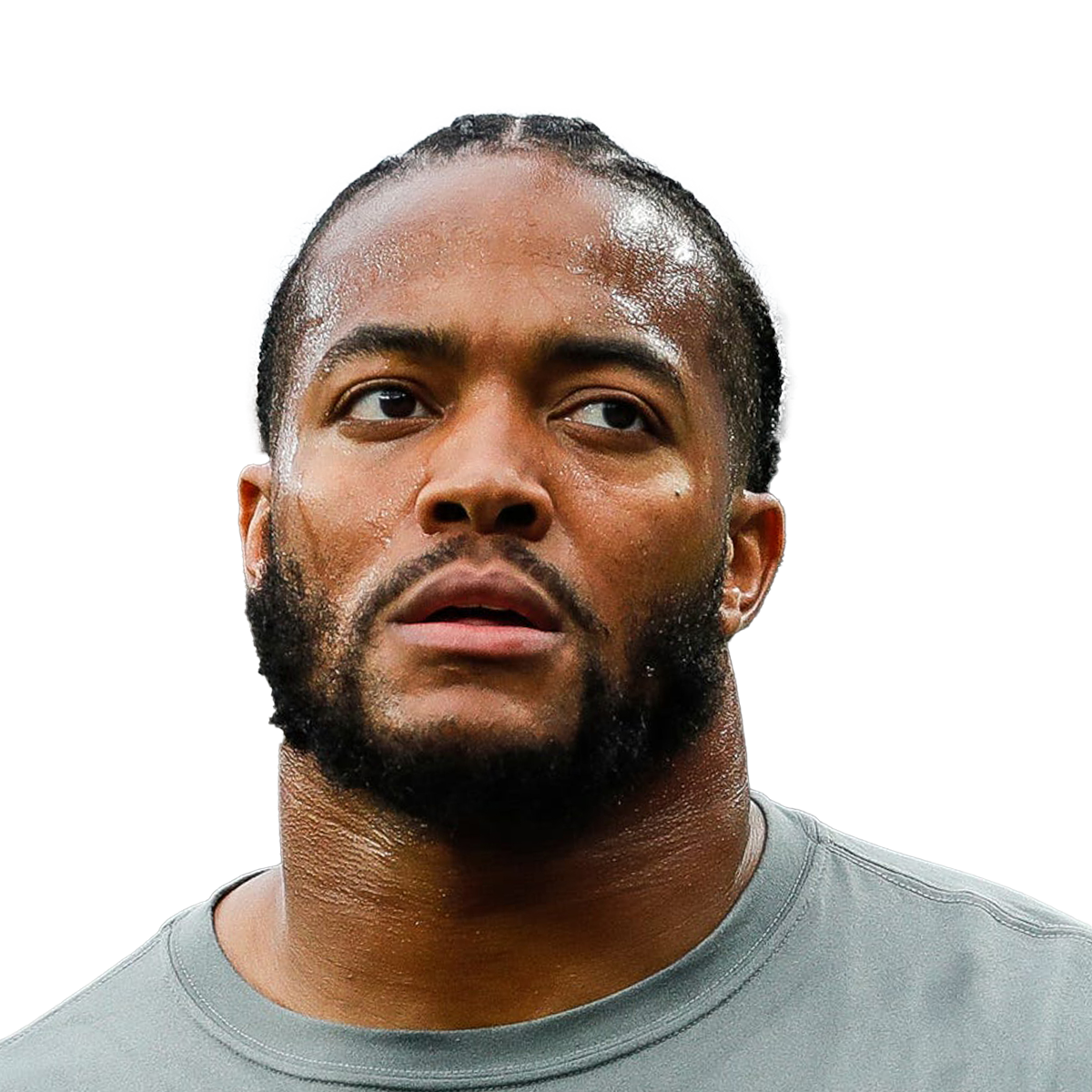 Trey Flowers