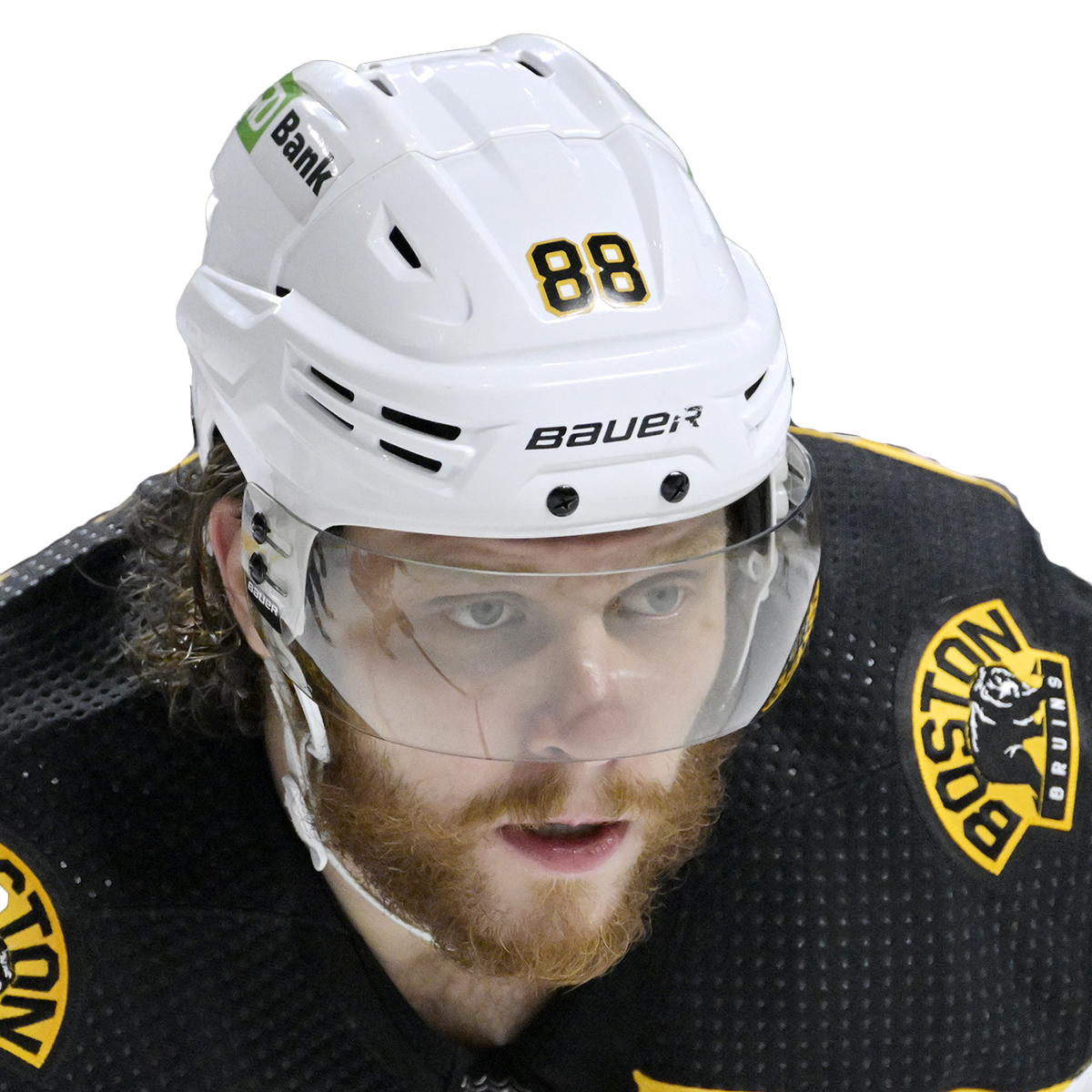 David Pastrnak