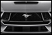 Ford Mustang Coupe grille photo at Vauxhall in Maplecrest Ford Lincoln of Union