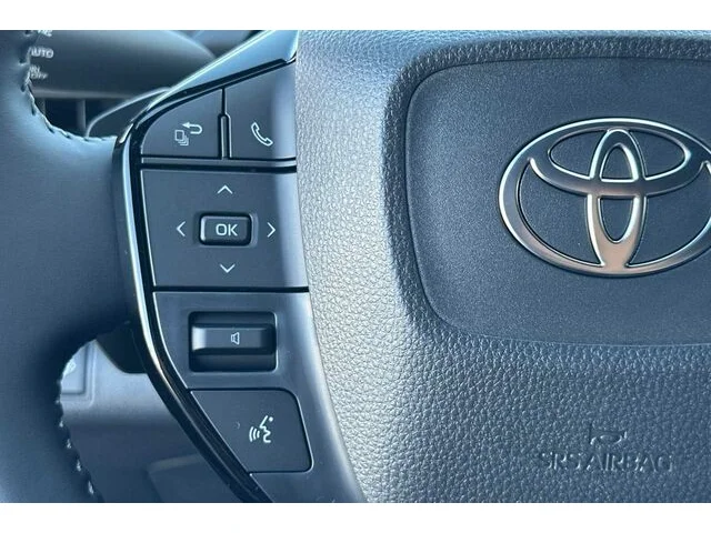 Nuevos TOYOTA C-HR à Estados chez autogozo