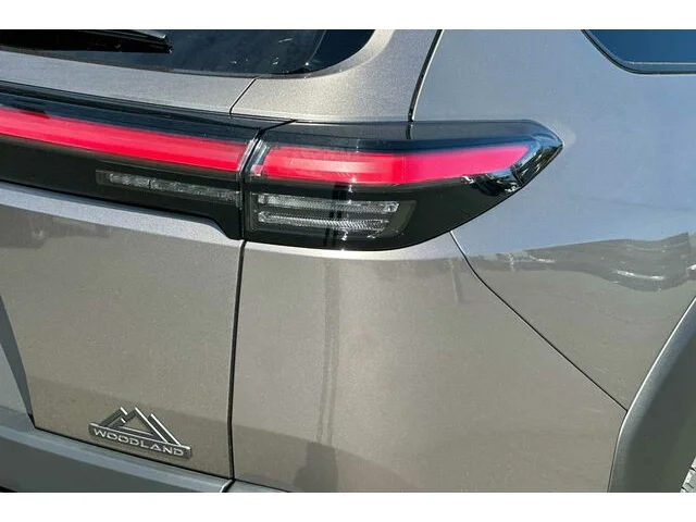 Nuevos TOYOTA BZ WOODLAND à Estados chez autogozo