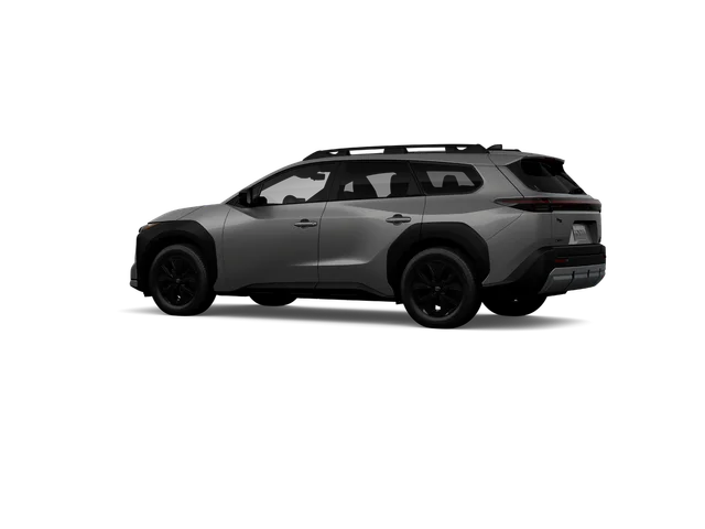 Nuevos TOYOTA BZ WOODLAND à Estados chez autogozo