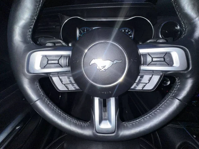 SEMINUEVOS FORD Mustang a Estados en autogozo