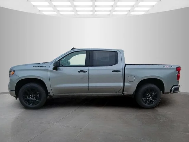 Nuevos CHEVROLET SILVERADO 1500 à Estados chez autogozo