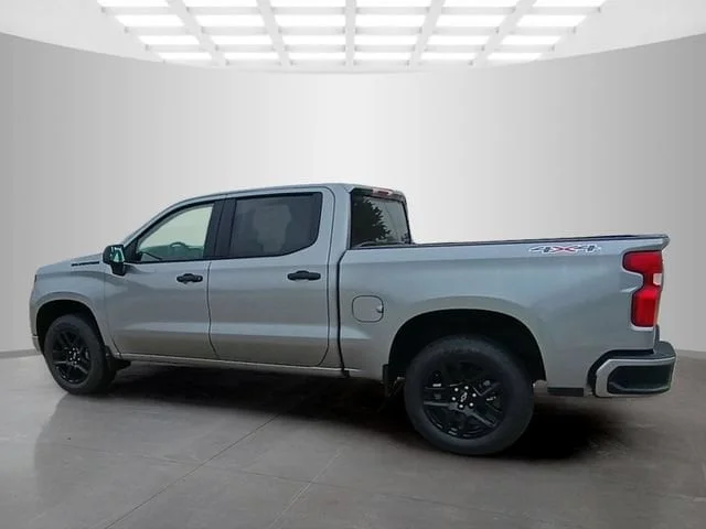 Nuevos CHEVROLET SILVERADO 1500 à Estados chez autogozo