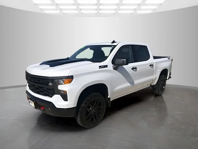 Nuevos CHEVROLET SILVERADO 1500 à Estados chez autogozo