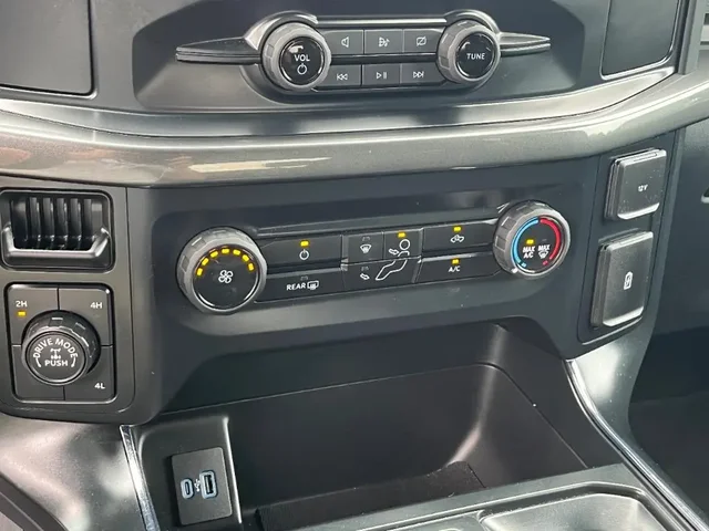 Nuevos FORD F-150 à Estados chez autogozo