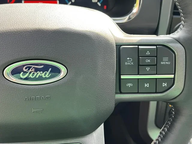 Nuevos FORD F-150 à Estados chez autogozo