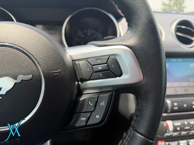 SEMINUEVOS FORD Mustang a Estados en autogozo