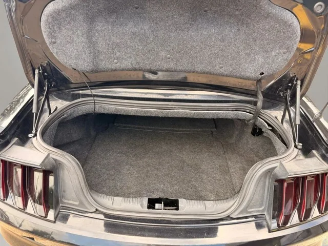 SEMINUEVOS FORD Mustang a Estados en autogozo