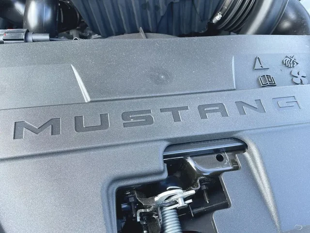 Nuevos FORD MUSTANG à Estados chez autogozo