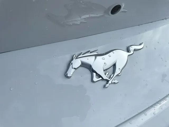 Nuevos FORD MUSTANG à Estados chez autogozo