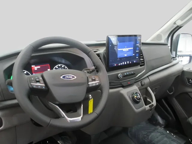 Nuevos FORD E-TRANSIT à Estados chez autogozo