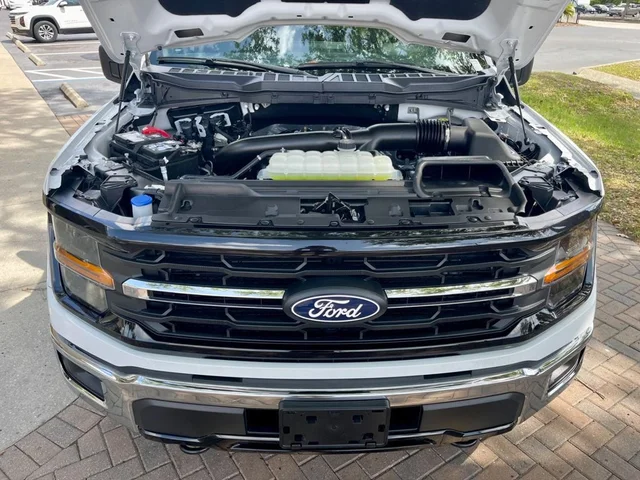 SEMINUEVOS FORD F-150 a Estados en autogozo