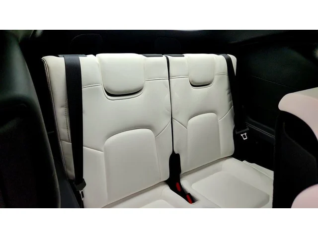 SEMINUEVOS TESLA Model Y a Estados en autogozo