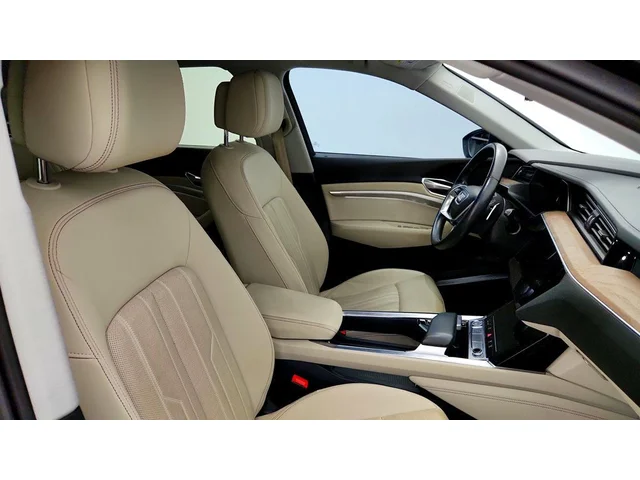 SEMINUEVOS AUDI e-tron a Estados en autogozo