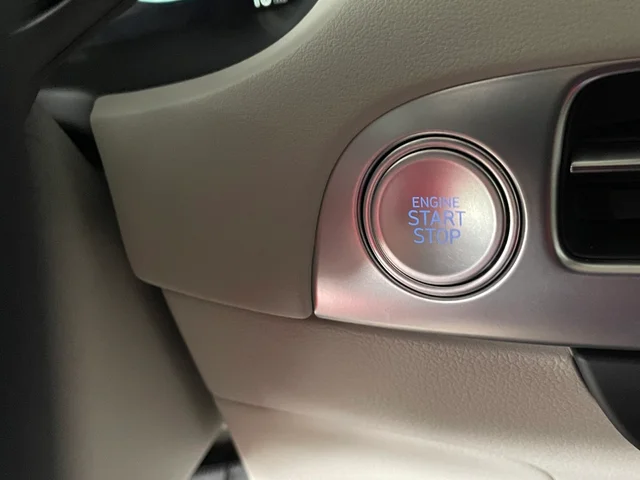 Nuevos HYUNDAI PALISADE à Estados chez autogozo