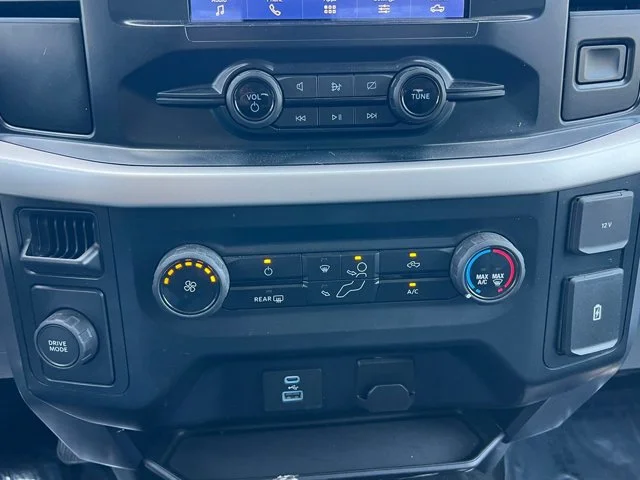 SEMINUEVOS FORD F-150 a Estados en autogozo