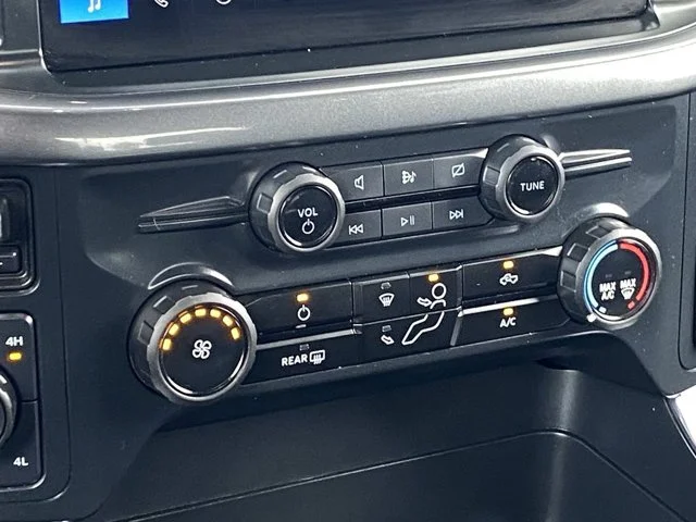 SEMINUEVOS FORD F-150 a Estados en autogozo