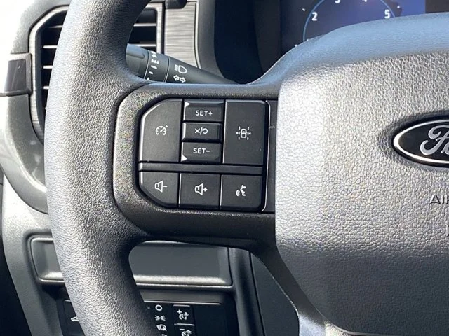 SEMINUEVOS FORD F-150 a Estados en autogozo
