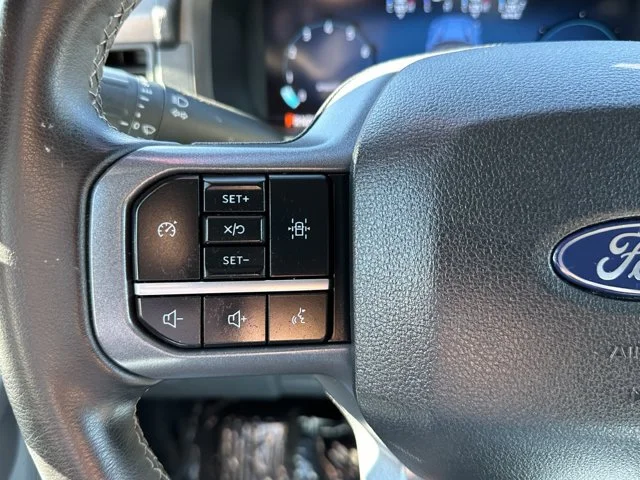 SEMINUEVOS FORD F-150 a Estados en autogozo
