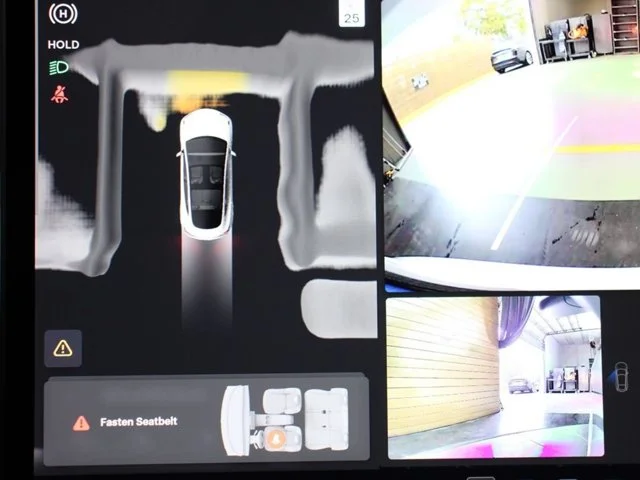 SEMINUEVOS TESLA Model 3 a Estados en autogozo
