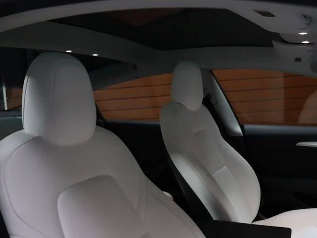 SEMINUEVOS TESLA Model 3 a Estados en autogozo