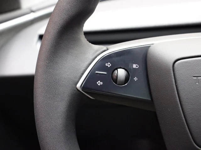 SEMINUEVOS TESLA Model 3 a Estados en autogozo