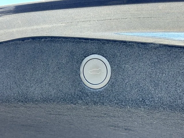 SEMINUEVOS TESLA Model 3 a Estados en autogozo