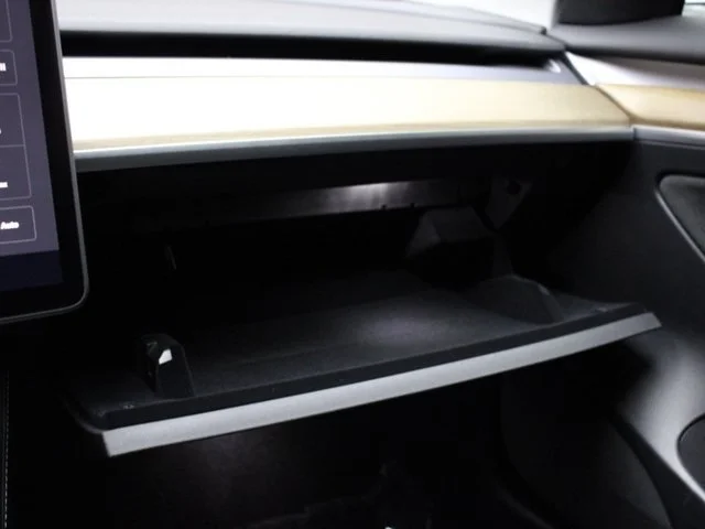 SEMINUEVOS TESLA Model 3 a Estados en autogozo