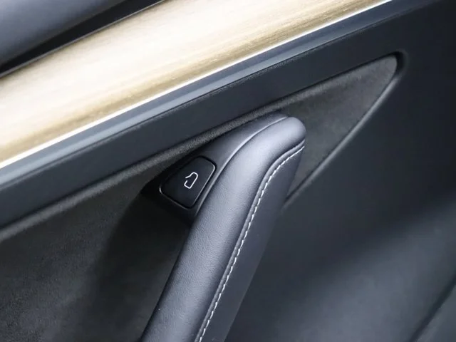 SEMINUEVOS TESLA Model 3 a Estados en autogozo