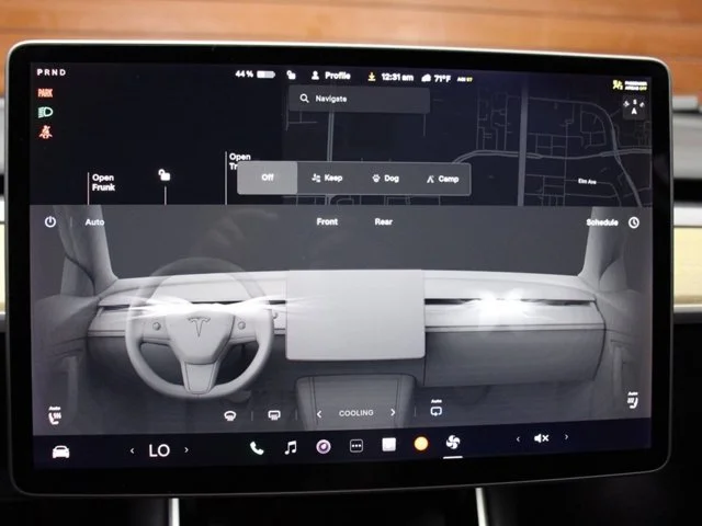 SEMINUEVOS TESLA Model 3 a Estados en autogozo