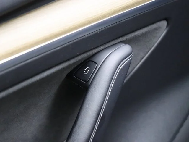 SEMINUEVOS TESLA Model 3 a Estados en autogozo