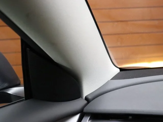 SEMINUEVOS TESLA Model 3 a Estados en autogozo