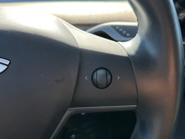 SEMINUEVOS TESLA Model 3 a Estados en autogozo