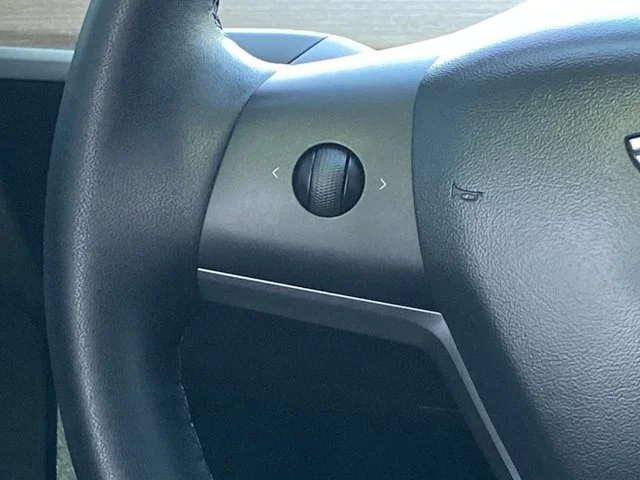 SEMINUEVOS TESLA Model Y a Estados en autogozo