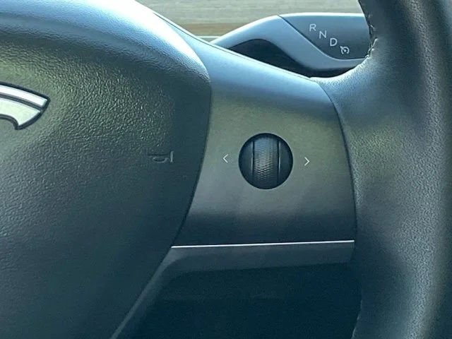 SEMINUEVOS TESLA Model Y a Estados en autogozo