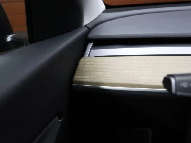 SEMINUEVOS TESLA Model Y a Estados en autogozo